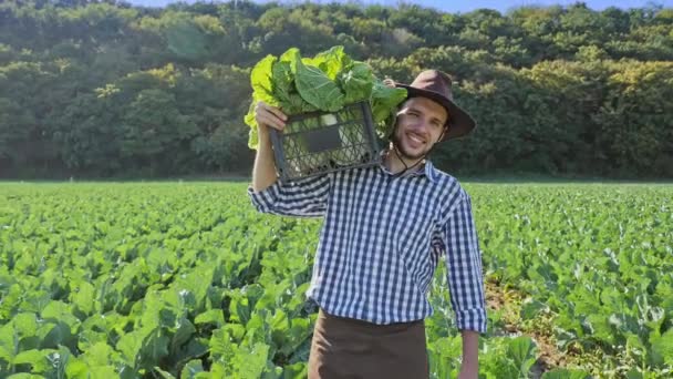 Ein Bauer mit einer Kiste Kohl auf der Schulter bei der Plantage. - Filmmaterial, Video