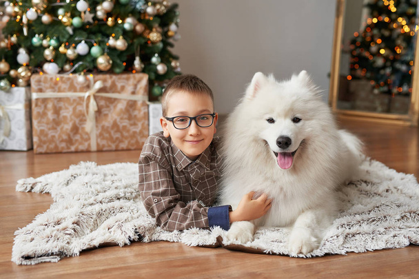 boy with dog near christmas tree on christmas background - Photo, Image