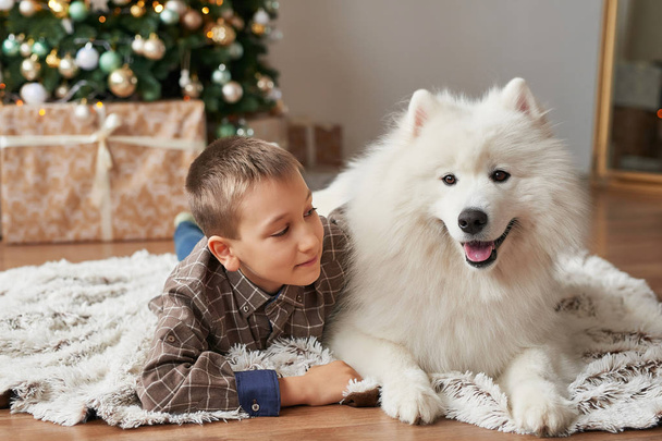 poika koiran kanssa lähellä joulukuusi joulukuusi taustalla
 - Valokuva, kuva
