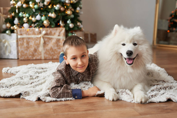 αγόρι με το σκυλί κοντά στο χριστουγεννιάτικο δέντρο σε Χριστουγεννιάτικο φόντο - Φωτογραφία, εικόνα