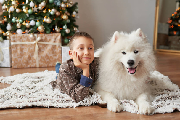 menino com cão perto de árvore de natal no fundo de natal
 - Foto, Imagem