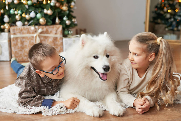 girl and boy with samoyed dog on christmas background - Photo, image