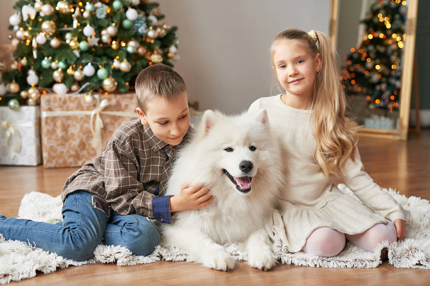 girl and boy with samoyed dog on christmas background - Photo, Image