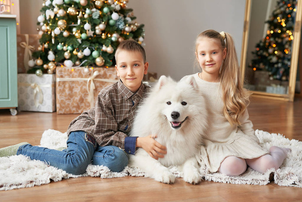 meisje en jongen met Samojeed hond op Kerstmis achtergrond - Foto, afbeelding