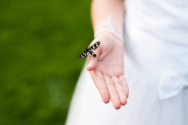 Close-up of butterfly in hand of child - Foto, Imagem