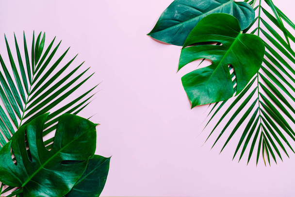 Tropical palm leaves on color background with copy space - Fotoğraf, Görsel