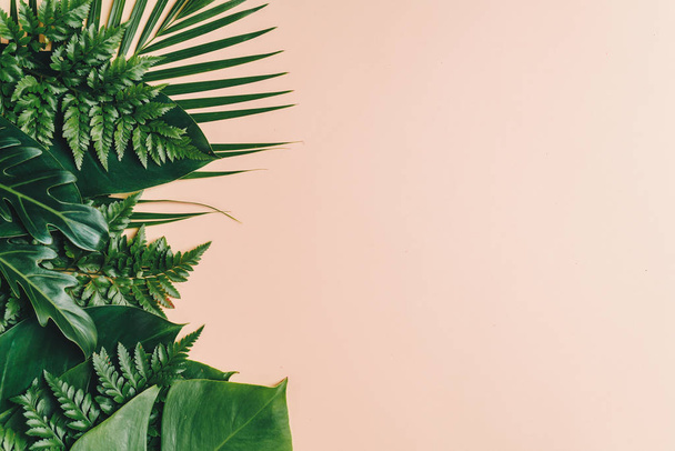 Tropical palm leaves on color background with copy space - Valokuva, kuva