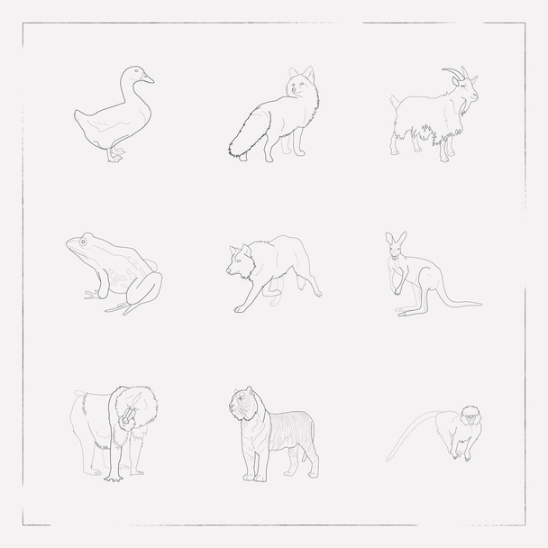 Set of animal icons line style symbols with marmoset, wolf, frog and other icons for your web mobile app logo design. - Vector, Image