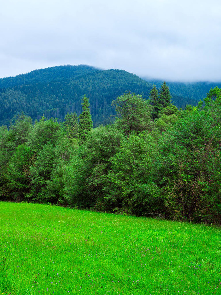 Summer mountain landscapes. Green meadows. High hills. - Fotó, kép