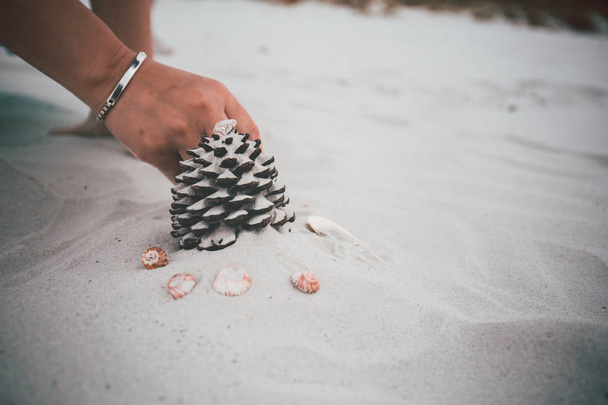 cône couché sur la plage de sable fin pendant la journée
 - Photo, image