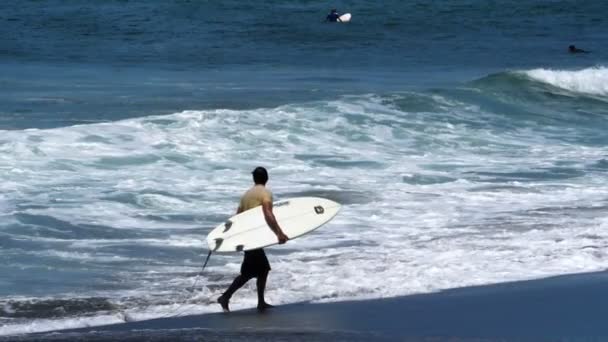Joven surfista caminando por la playa con su tabla de surf debajo de su brazo.Surfista listo para surfear las olas en el Mar Caribe.Videos de deportes acuáticos en cámara súper lenta. - Imágenes, Vídeo