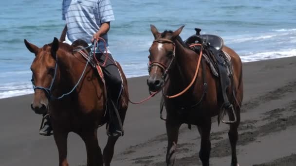 Mężczyzna jazda konia na seashore zwolnionym tempie. Koń jazda na białej, piaszczystej plaży. Jazda na koniu przez morze. - Materiał filmowy, wideo