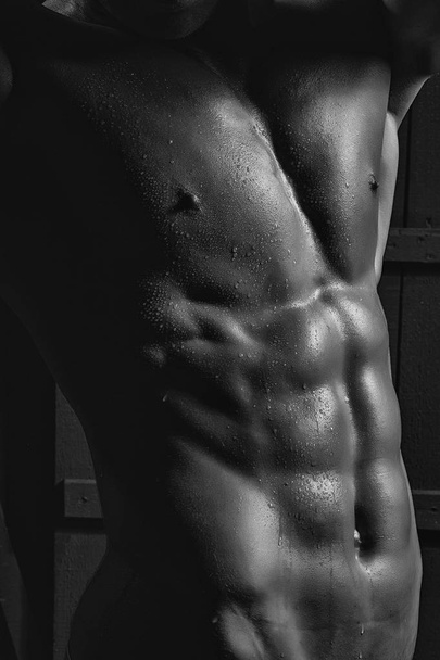 Male muscular torso - Foto, imagen