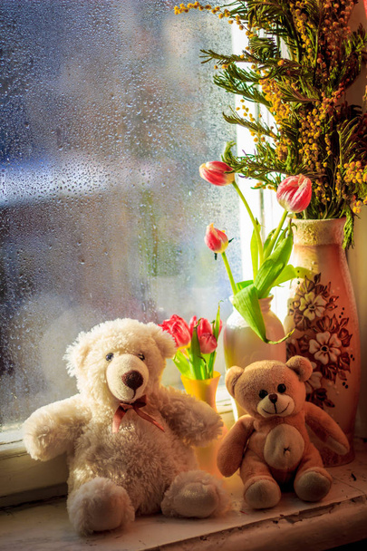 osos de peluche, hermosos tulipanes de primavera y mimosa en jarrones en el alféizar de la ventana
  - Foto, imagen