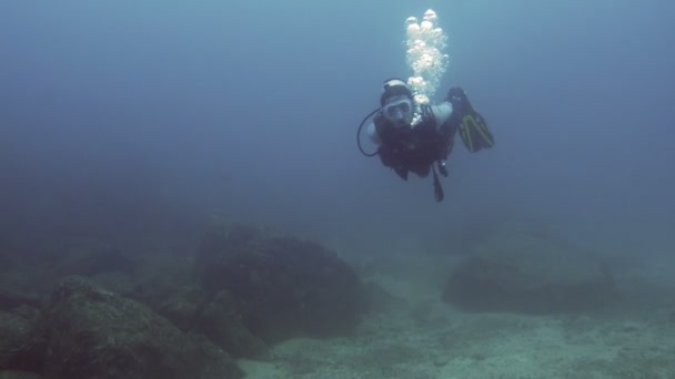 Praktykujących nurkowanie w wodach Morza Karaibskiego pod wodą. Ocean podwodne obserwacja zwierząt wodnych. Nurkowanie w wodach Karaibów Sea.Observing życia morskiego w rafy koralowej. - Materiał filmowy, wideo