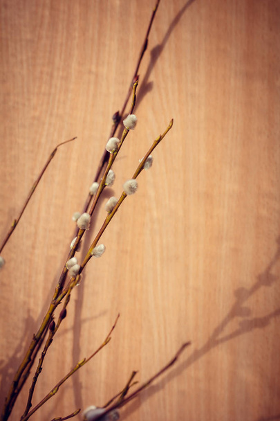 Salgueiro ramos em um fundo de madeira
 - Foto, Imagem