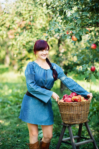 Красивая женщина с корзиной яблок позирует в саду. Концепция сбора урожая
  - Фото, изображение