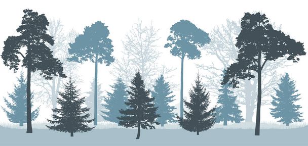 Foresta innevata in inverno, silhouette di alberi (pini, abeti rossi, querce, ecc.). Illustrazione vettoriale
. - Vettoriali, immagini