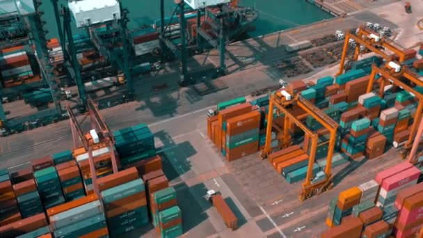 HONG KONG - 1 DE MAYO DE 2018: Vista aérea de una moderna terminal de contenedores portuarios. Importación y exportación, logística empresarial. Grúas portuarias y grandes buques
. - Imágenes, Vídeo