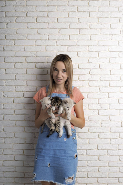 young beautiful girl holding three little kittens in her arms. against a white brick wall - Photo, Image