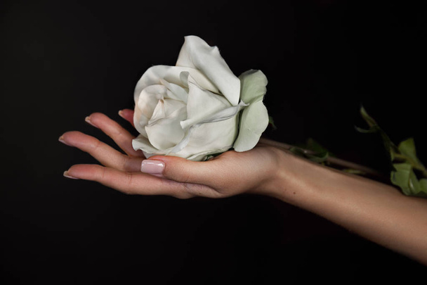 όμορφη γυναίκα που κρατά ένα τριαντάφυλλο στο χέρι της - Φωτογραφία, εικόνα