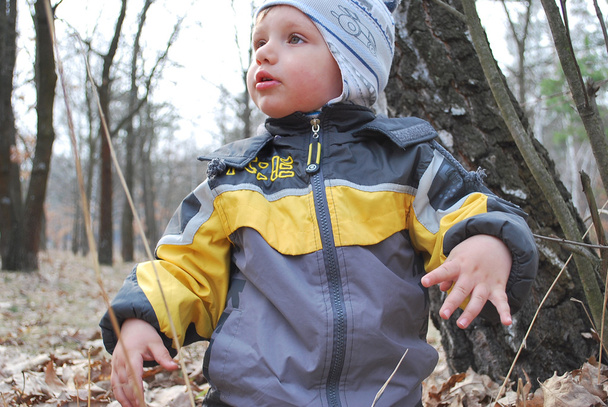 Junge im Wald - Foto, Bild