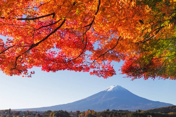 Ця фотографія була застрелений з області навколо Mt. Fuji восени. Настав час почати снігову шапку на вершині Mt. Fuji і Кленові листи змінюються на осінній колір. Навколо гори Фудзі 5 озер.. - Фото, зображення