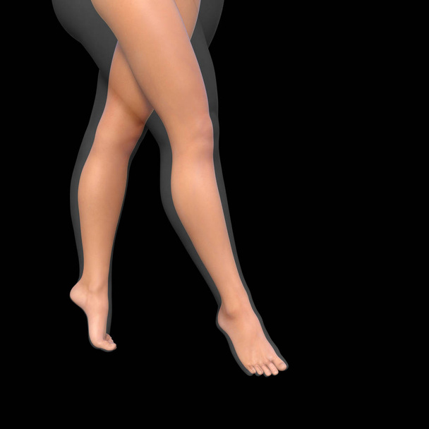 Concept ou concept de graisse en surpoids vs alimentation slim fit avec muscles jeune femme isolée sur fond
 - Photo, image