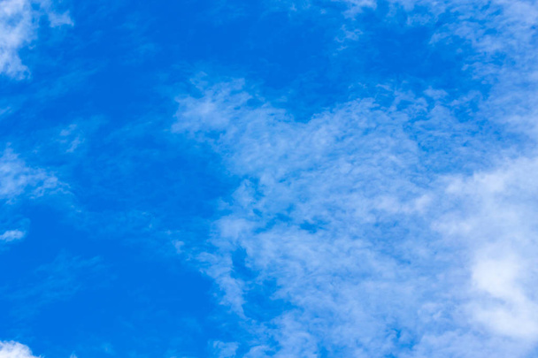 Blue backdrop in the air. - Photo, Image