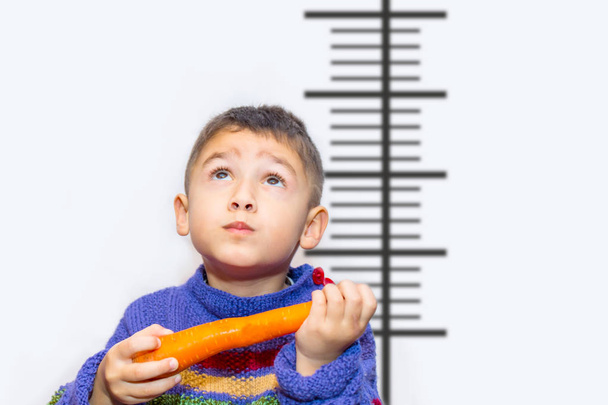 dreams of a boy with a carrot on height chart background - Photo, Image