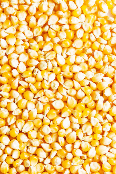 Background of golden raw corn kernels for popcorn or corn oil. Golden corn full screen wallpaper. - Fotografie, Obrázek
