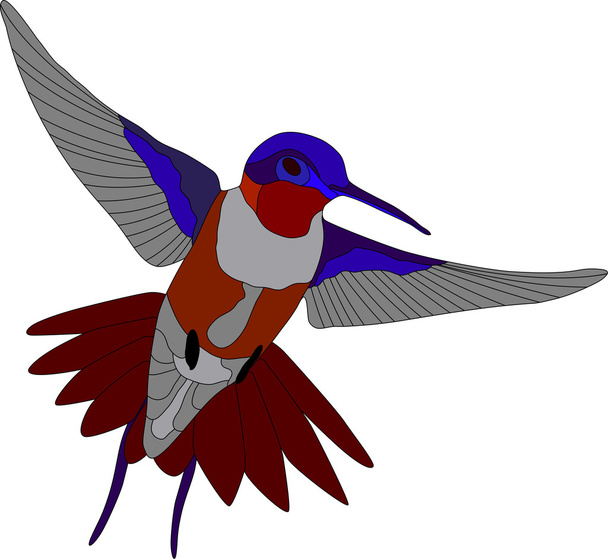 Hummingbird - Vektör, Görsel