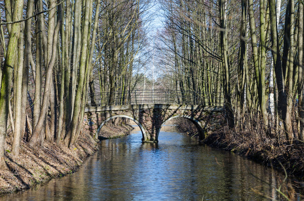 Каменный мост через реку в лесу
 - Фото, изображение