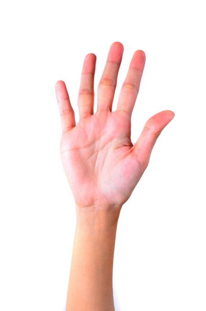 Підрахунок рук ізольовано на білому тлі
 - Фото, зображення