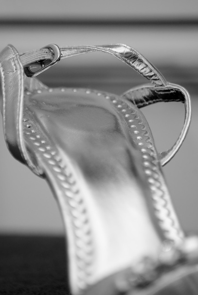 Серебряная свадебная обувь
 - Фото, изображение