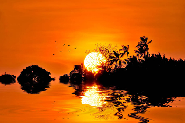 Драматические пейзажи заката с силуэтом деревьев над отражением воды
 - Фото, изображение
