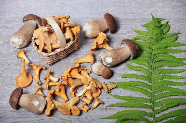 cutting mushrooms on a wooden background in a basket and green leaves - Photo, image