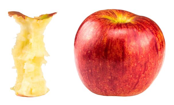 Червоне кусає яблуко і ціле яблуко ізольовано на білому
. - Фото, зображення