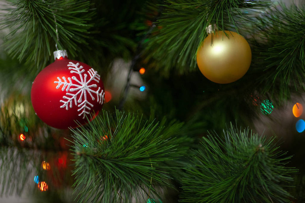 Boże Narodzenie drzewo gałąź z kolorowe cacko na tle rozmycie uroczysty granicy, nowy rok z życzeniami, magiczna noc, świecące tło, tło, xmas ozdoba, bombka wakacje. Zdobione jodły - Zdjęcie, obraz
