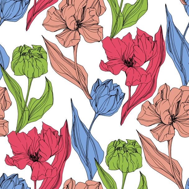 Vector Tulip gegraveerd inkt kunst. Floral botanische bloem. Naadloze achtergrondpatroon. Structuur behang print textuur. - Vector, afbeelding