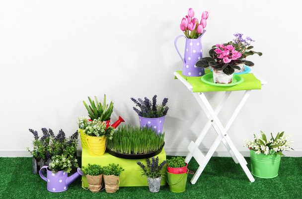 Color crate and table with decorative elements and flowers standing on grass - Foto, afbeelding
