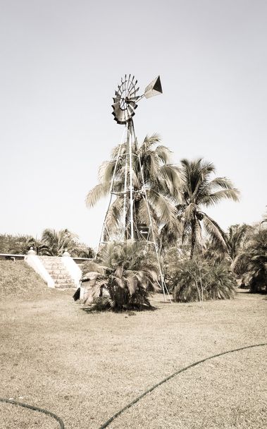 Vintage Tuulimylly kentällä
 - Valokuva, kuva