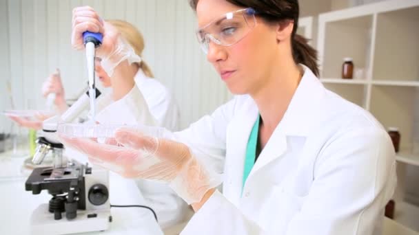 Asistentes de investigación femenina en el laboratorio hospitalario
 - Imágenes, Vídeo