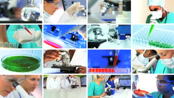 Multiple Montage Images of Scientific Medical Research - Footage, Video