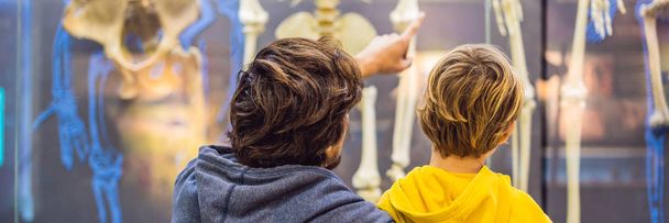 Dad and son watching skeletons of ancient and modern people. - Fotografie, Obrázek