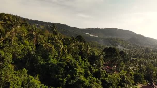 Горы, покрытые пальмами под ясным небом. Пейзаж высоких зеленых гор острова Самуи, покрытый тайскими экзотическими растениями
. - Кадры, видео