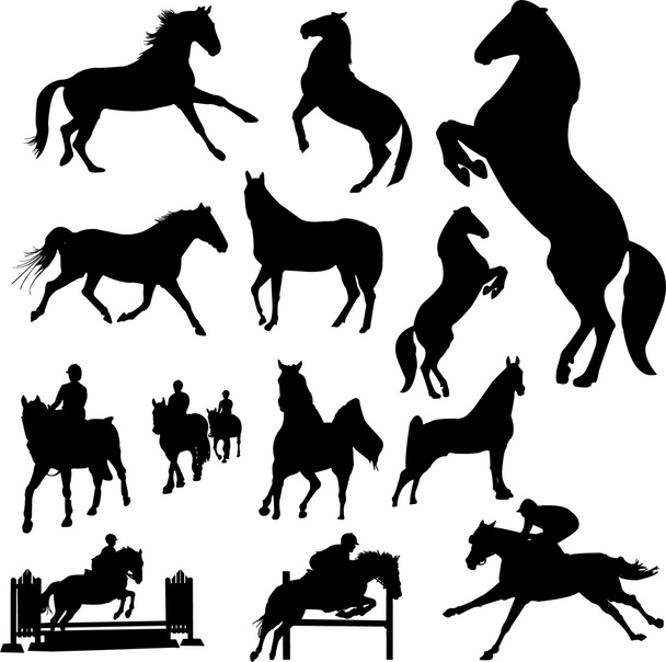 Koně - Vektor, obrázek