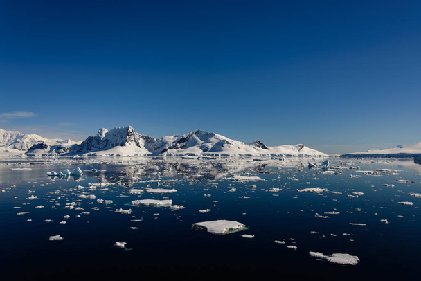 反射と南極海の風景 - 写真・画像