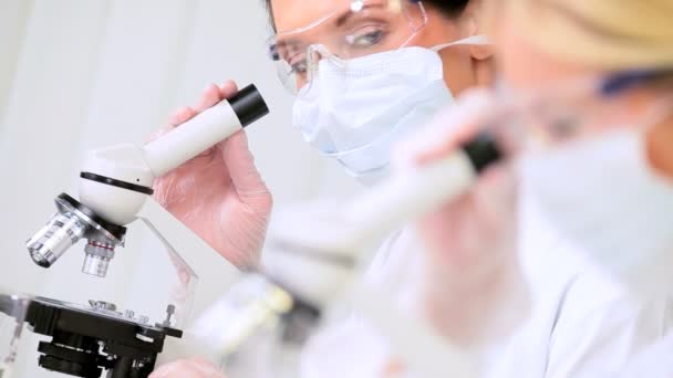 ιατρικούς ερευνητές χρησιμοποιώντας μικροσκόπια στο εργαστήριο - Πλάνα, βίντεο