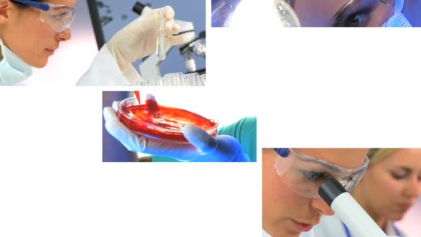 Montage Images of Medical and Scientific Research - Footage, Video